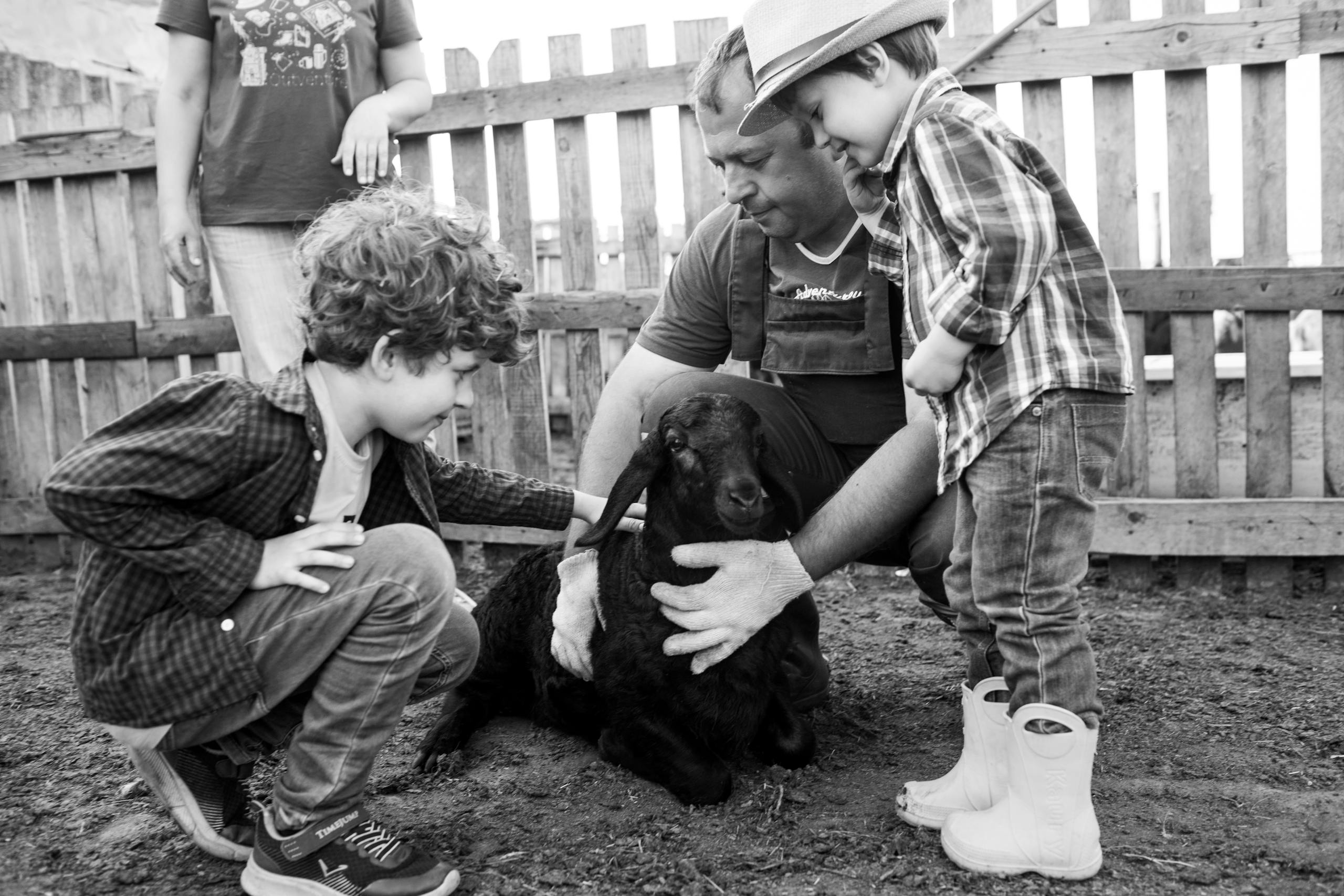 A heartwarming moment as a family enjoys bonding with a goat on a farm.