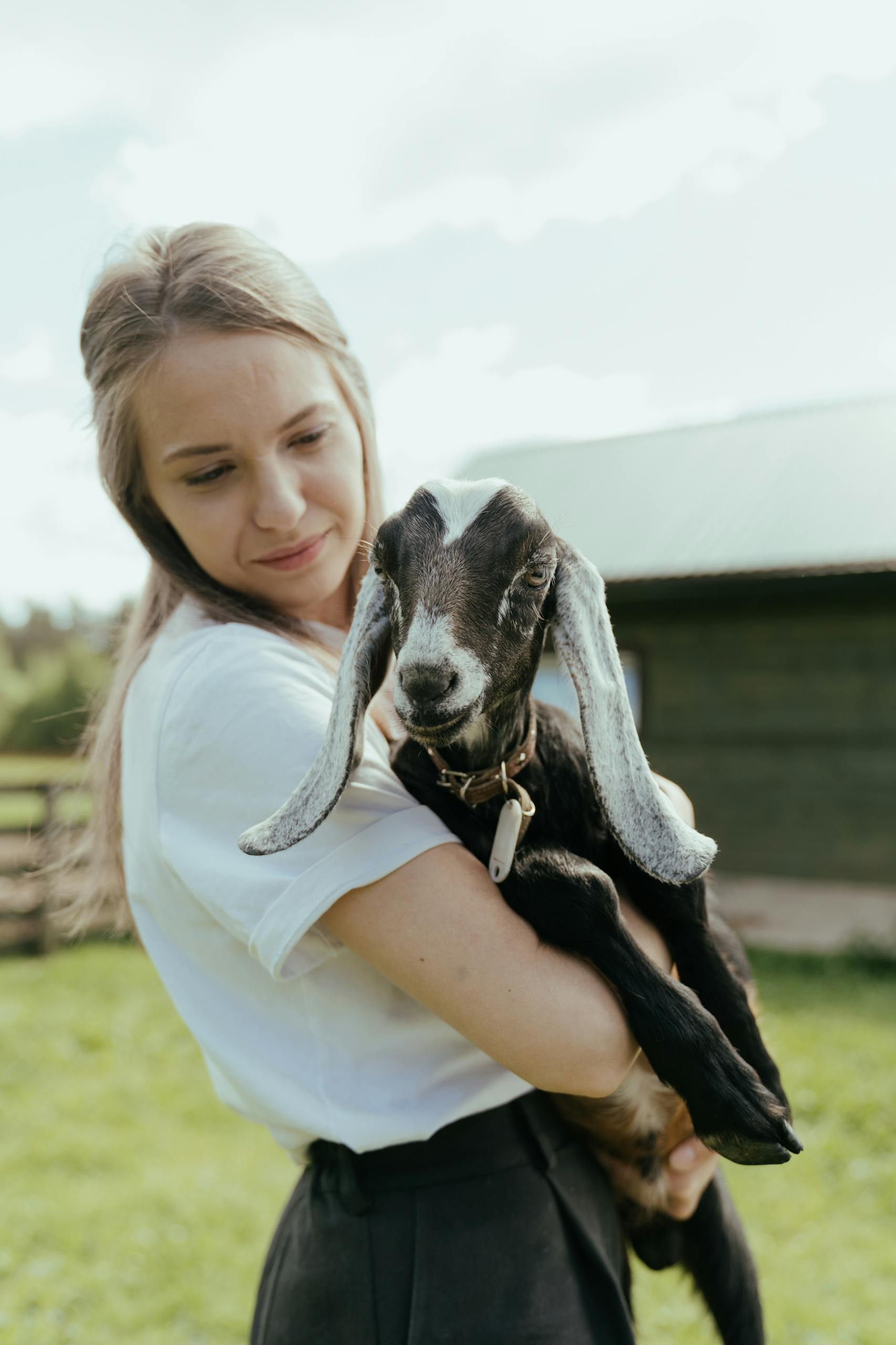 A young woman lovingly holds a baby goat in a rural farm setting.